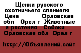 Щенки русского охотничьего спаниеля › Цена ­ 6 000 - Орловская обл., Орел г. Животные и растения » Собаки   . Орловская обл.,Орел г.